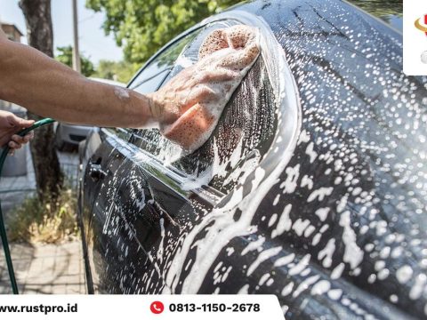 apakah sunlight bagus untuk mencuci mobil anda rahasia diungkap