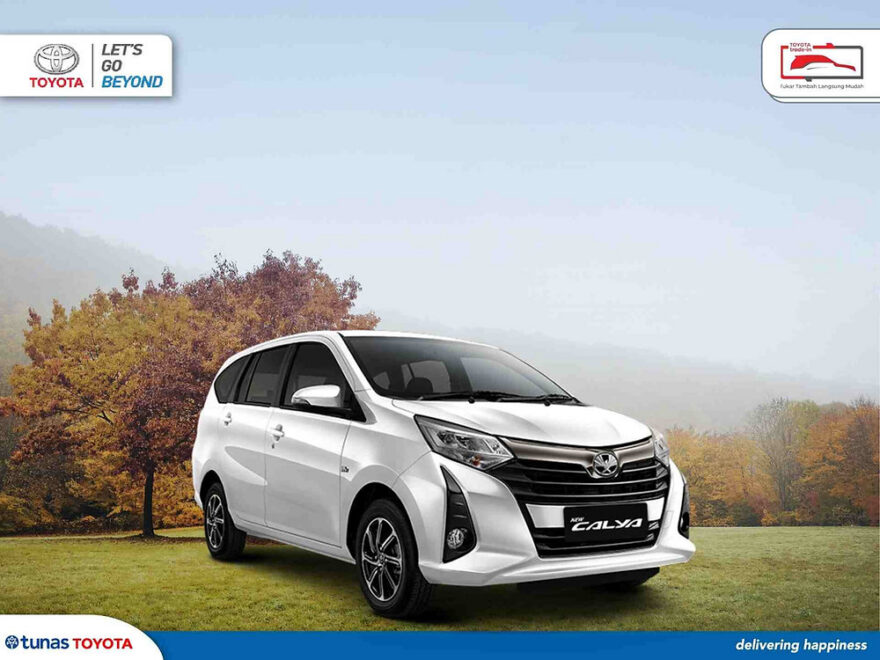 harga calya murah temukan alasannya disini 1